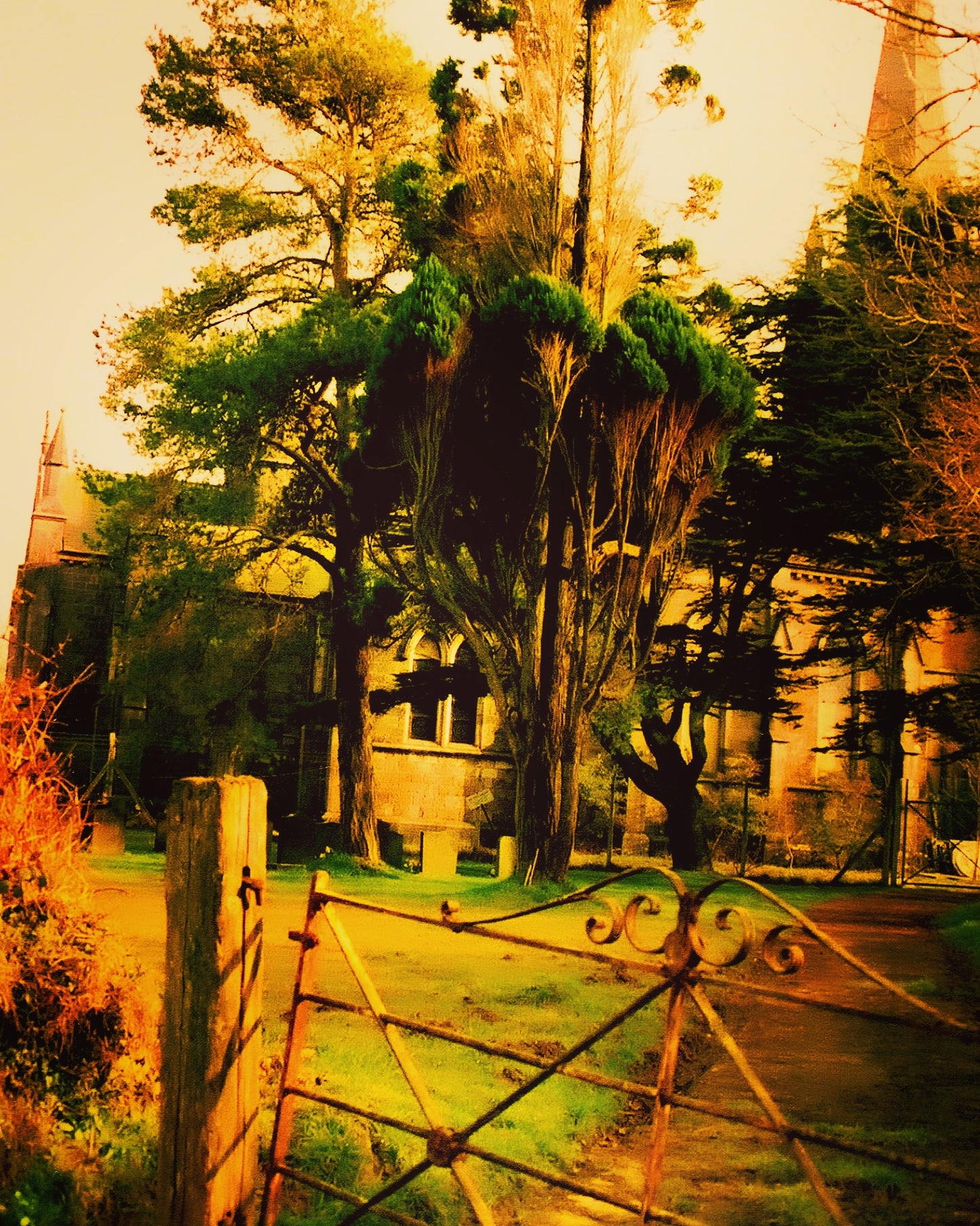 Gated Sanctuary, France