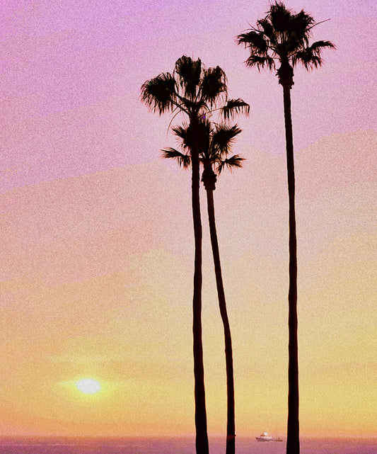 Secluded Solace
