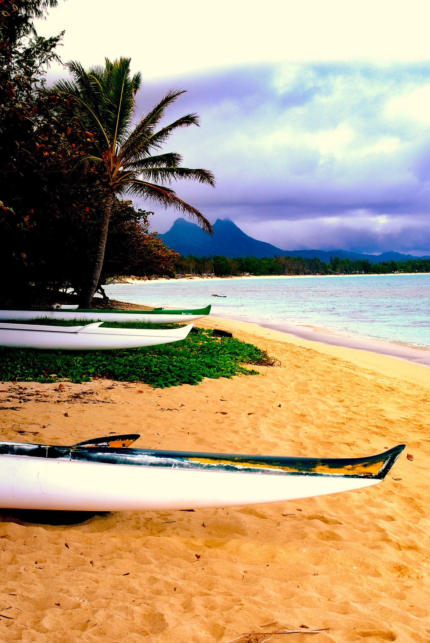 Beach Less Traveled