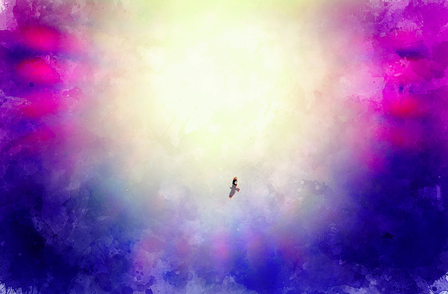 Eye of the Soar